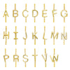 Maya Brenner Designs Mini 2-Letter Personalized Necklace, 14k Yellow Gold