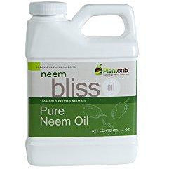 Organic Neem Bliss 100% Pure Cold Pressed Neem Seed Oil - (16 oz) High Azadirachtin Content - OMRI Listed for Organic Use