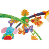 Fisher-Price Rainforest Melodies and Lights Deluxe Gym